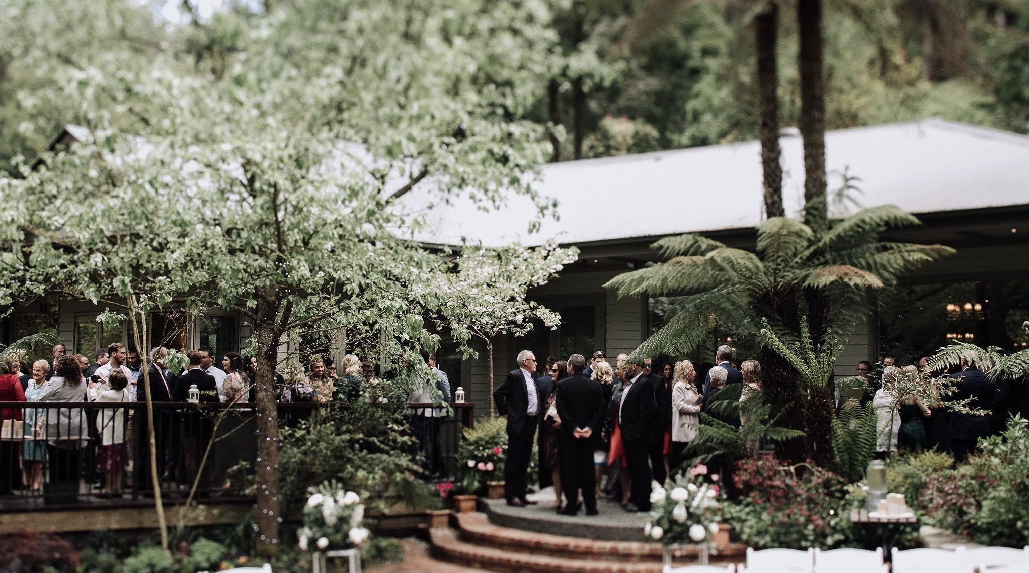 Guests gathered on the deck beneath flowering trees.